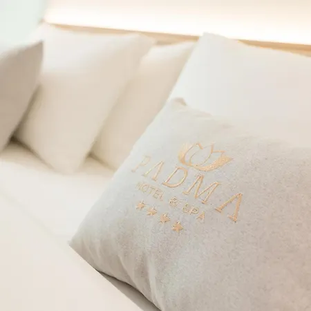 Hotel Padma *